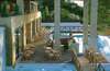Rodian Amathus Beach Hotel 
